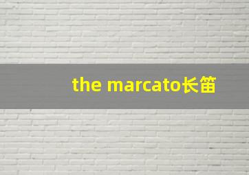 the marcato长笛